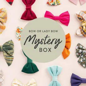 Bow Mystery Box