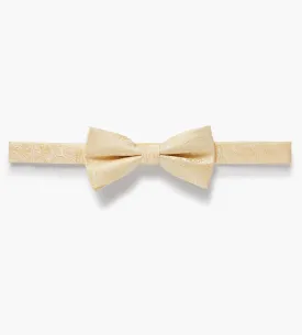 Tonal Paisley Bow Tie