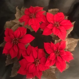 Velvet Poinsettia Wreath (60cm)